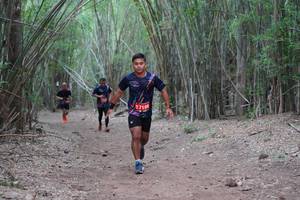 BIB: 7185
                            <button type="button" onclick="openModal(4123655)" class="btn btn-primary btn-sm float-right btn-popup" data-toggle="modal" data-target=".modal-high-quality">
                        <i class="fas fa-shopping-cart"></i> Add to Cart
                    </button>
                                            <button type="button" onclick="isThisMe(4123655, true)" class="btn btn-success btn-sm float-right btn-popup btn-isme hidden" data-toggle="tooltip" data-placement="bottom" title="นี่คือรูปของคุณใช่ไหม คลิกที่นี่เพื่อเอาเข้าอัลบั้ม">
                        <i class="fas fa-plus"></i> Add to album
                    </button>
                    <button type="button" onclick="isThisMe(4123655, false)" class="btn btn-warning btn-sm float-right btn-popup btn-isnotme hidden">
                        <i class="fas fa-ban"></i> Remove from album
                    </button>